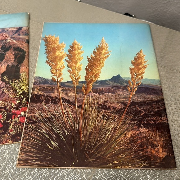 VINTAGE Arizona Highways Magazines (2) January and March 1954 - Picture 6 of 16